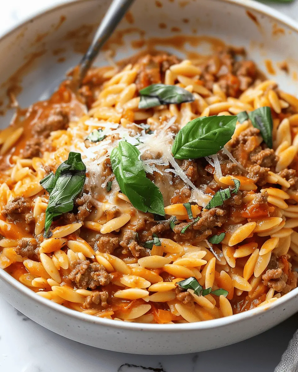 Hearty Ground Beef Orzo with Tomato Cream Sauce: An Easy Comfort Dish
