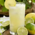 Brazilian Lemonade